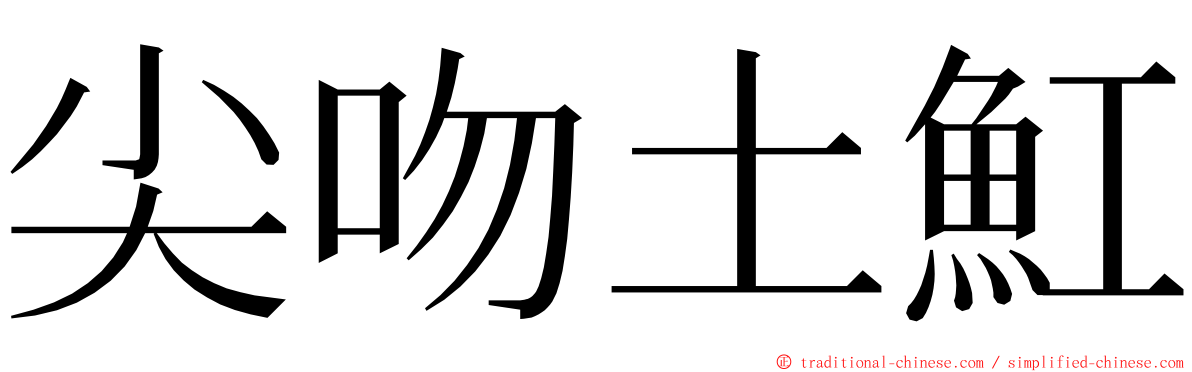 尖吻土魟 ming font