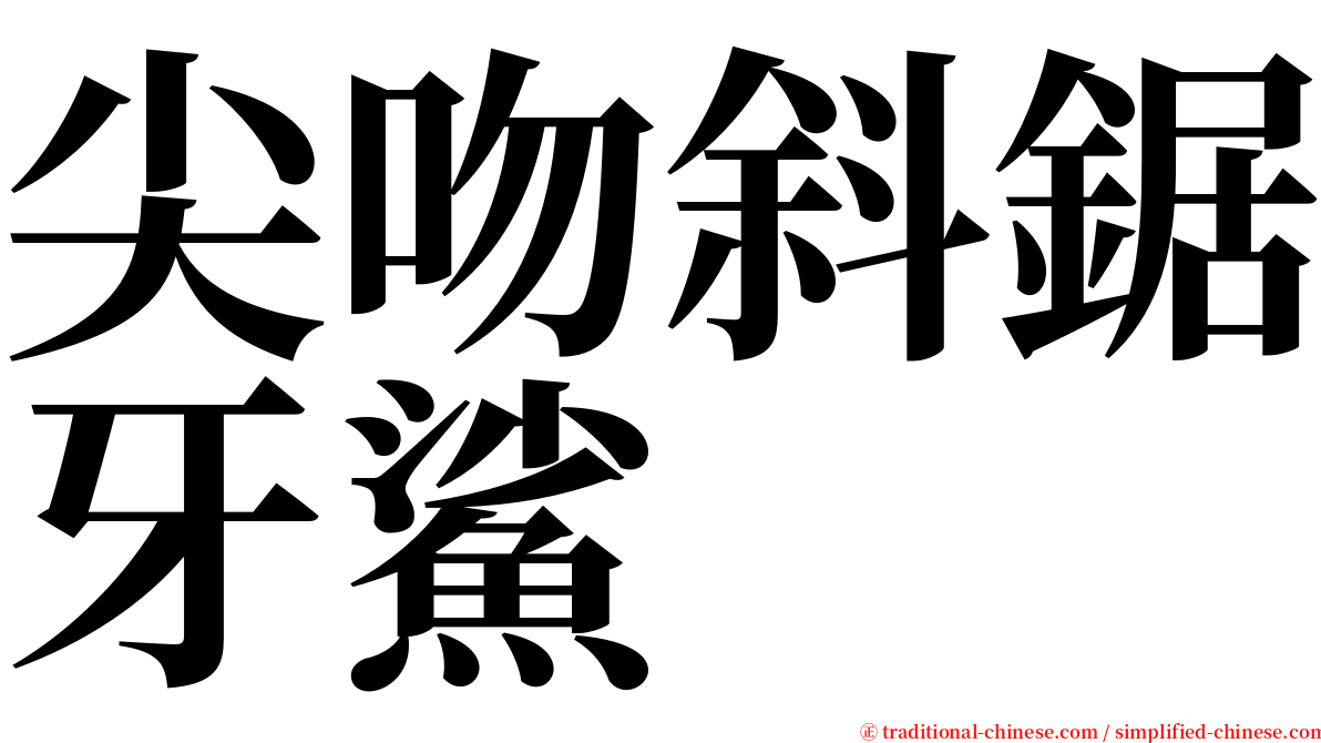 尖吻斜鋸牙鯊 serif font