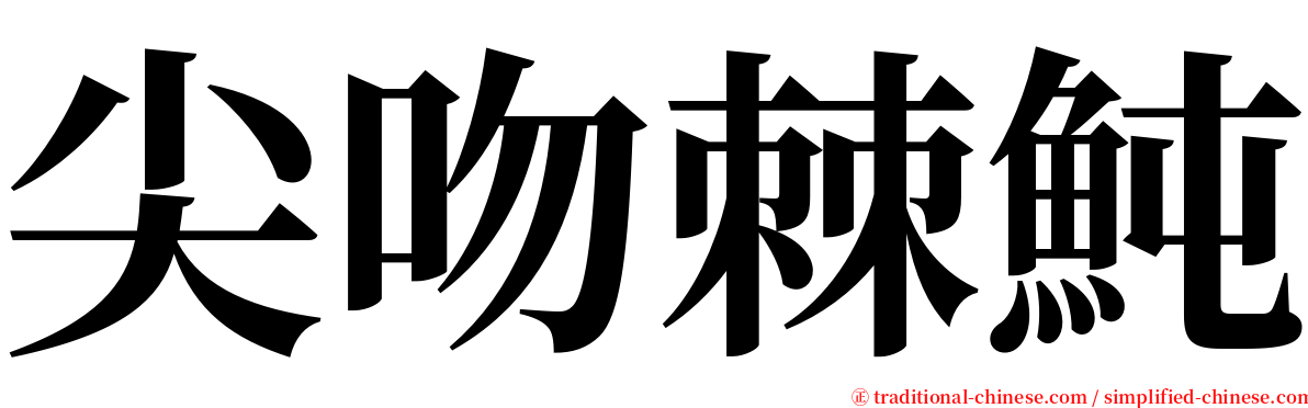 尖吻棘魨 serif font