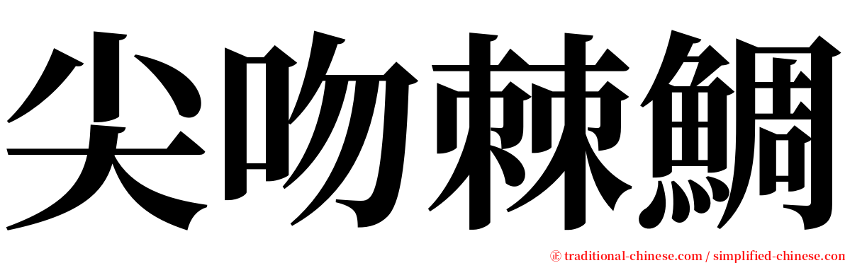 尖吻棘鯛 serif font