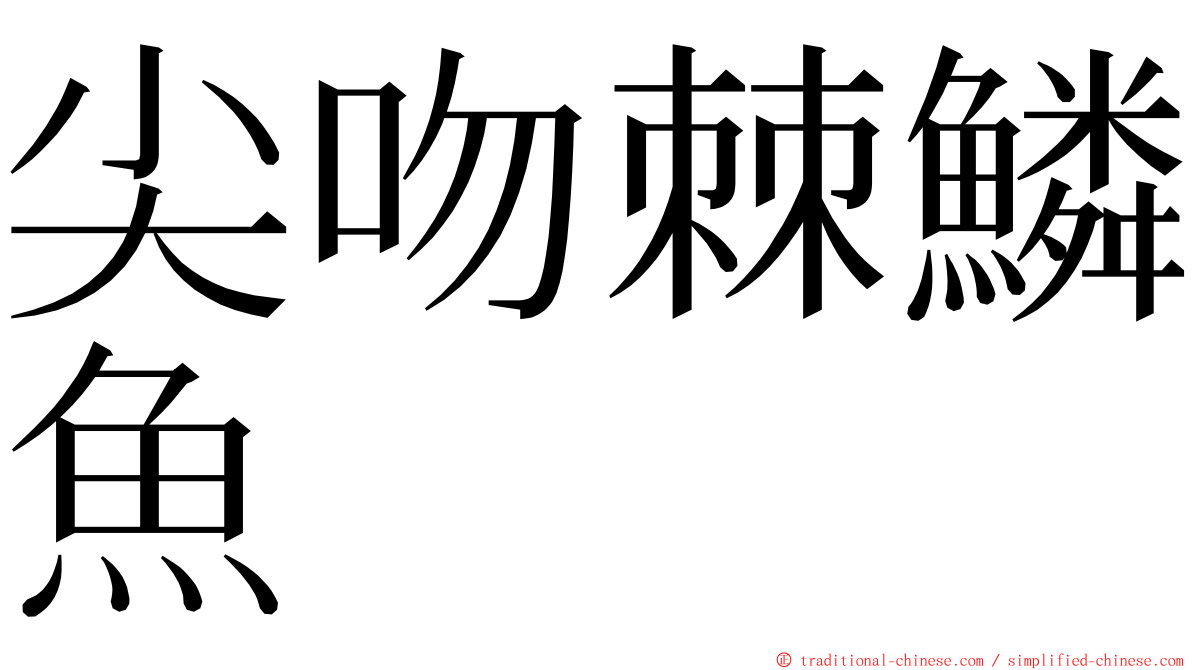 尖吻棘鱗魚 ming font