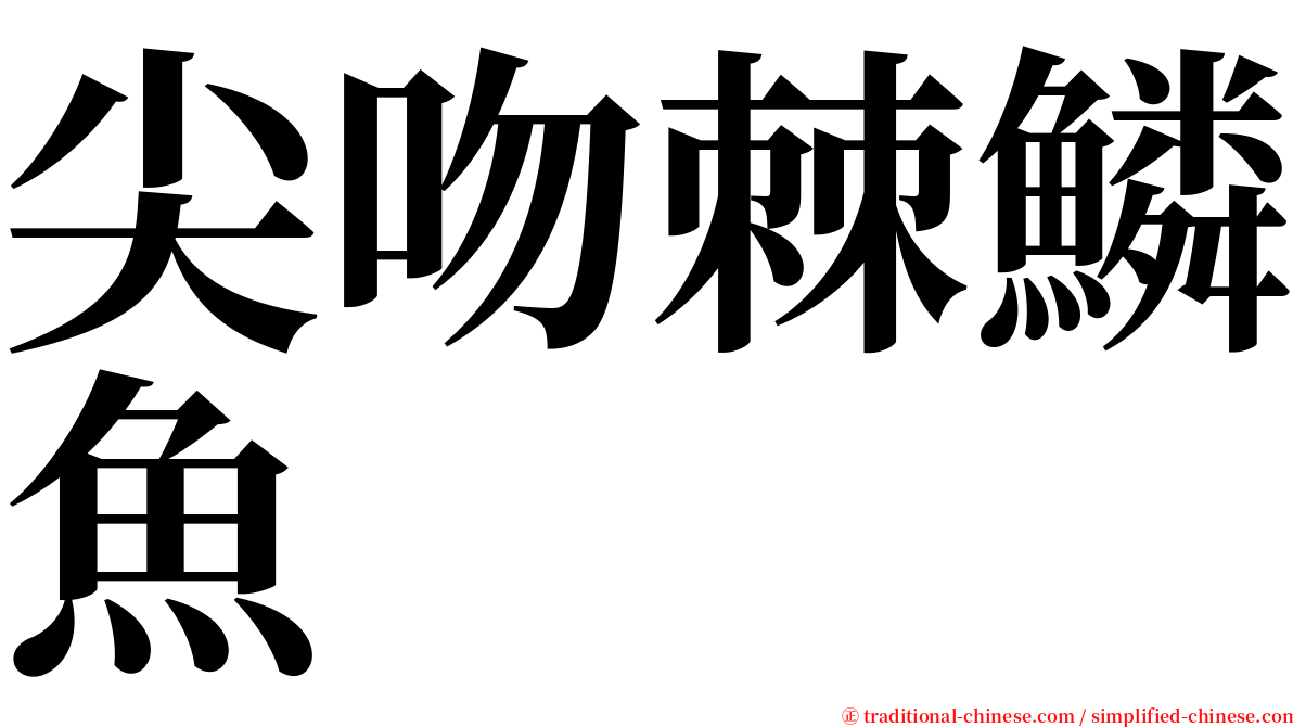 尖吻棘鱗魚 serif font