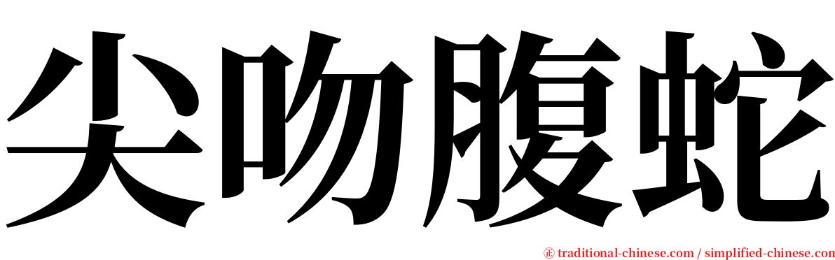 尖吻腹蛇 serif font