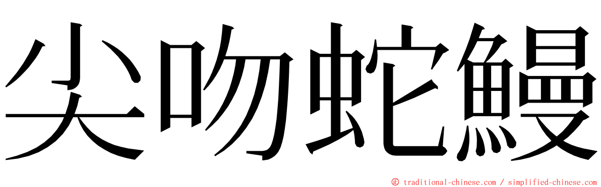 尖吻蛇鰻 ming font