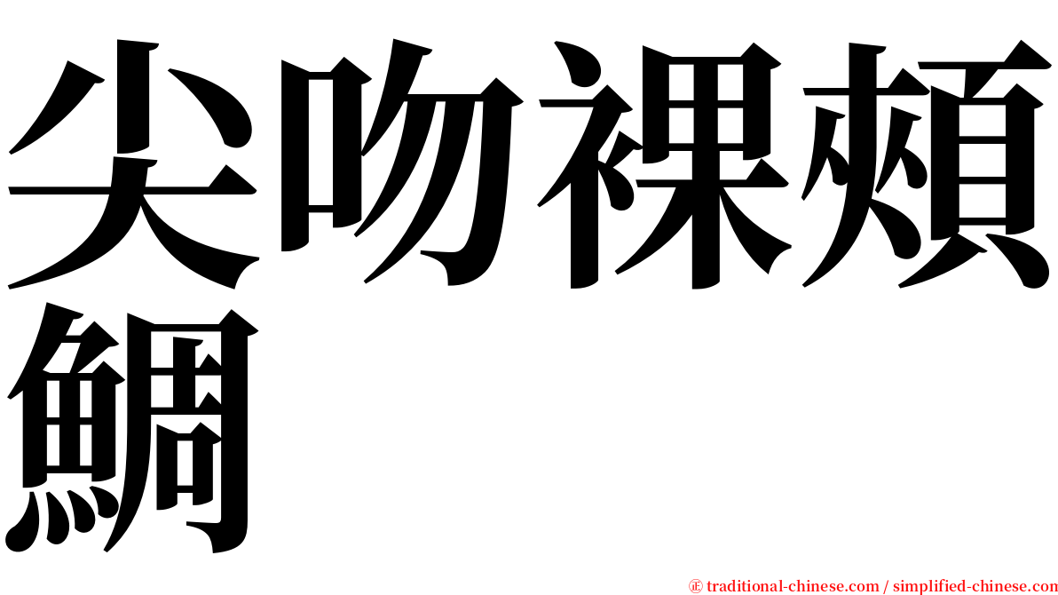 尖吻裸頰鯛 serif font