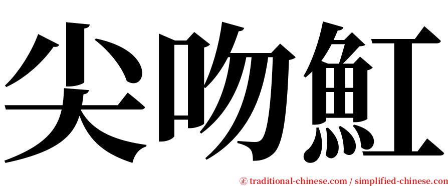 尖吻魟 serif font