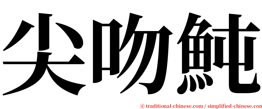 尖吻魨 serif font