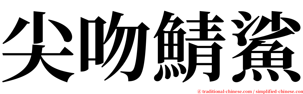 尖吻鯖鯊 serif font