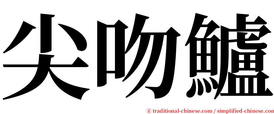 尖吻鱸 serif font