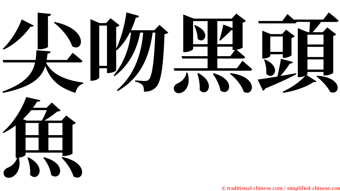 尖吻黑頭魚 serif font