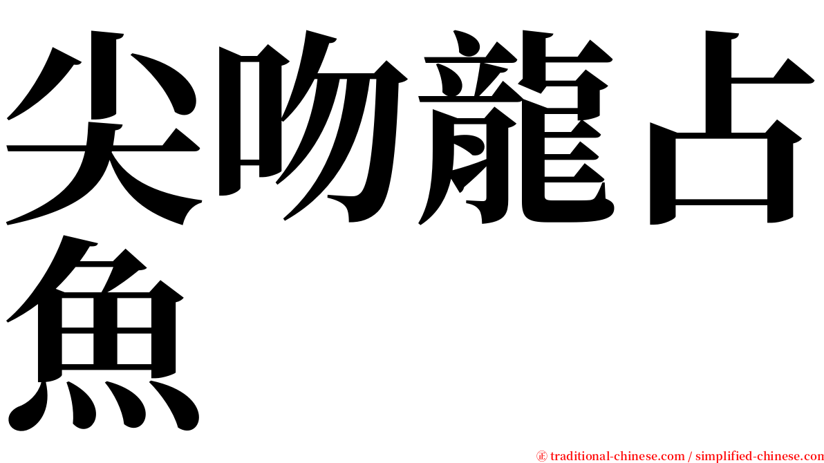 尖吻龍占魚 serif font