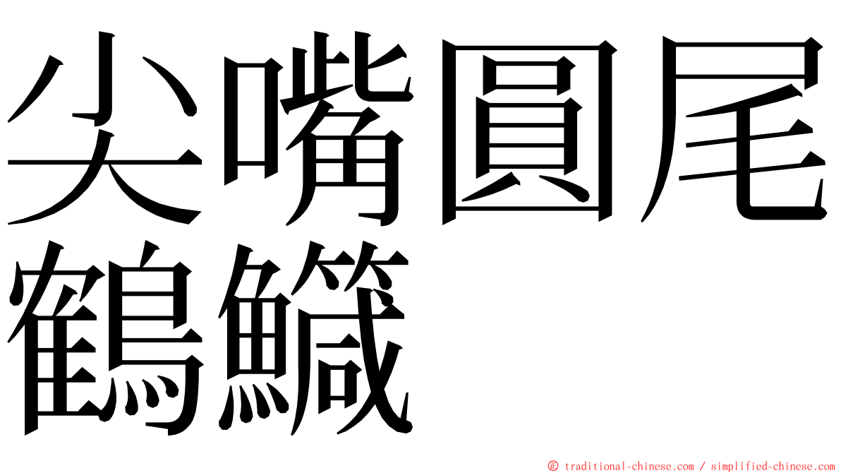 尖嘴圓尾鶴鱵 ming font