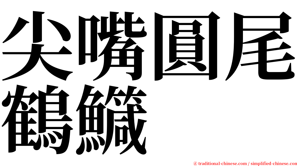 尖嘴圓尾鶴鱵 serif font