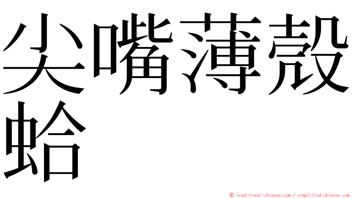 尖嘴薄殼蛤 ming font