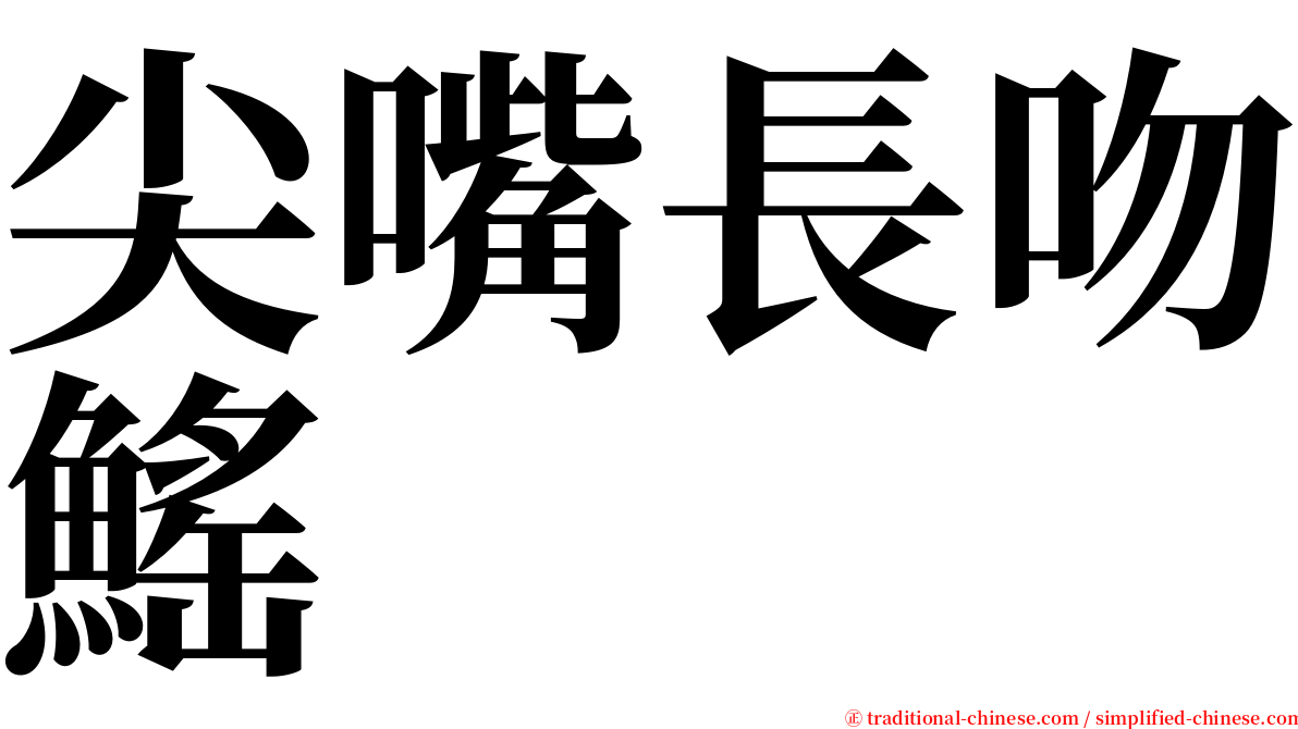 尖嘴長吻鰩 serif font