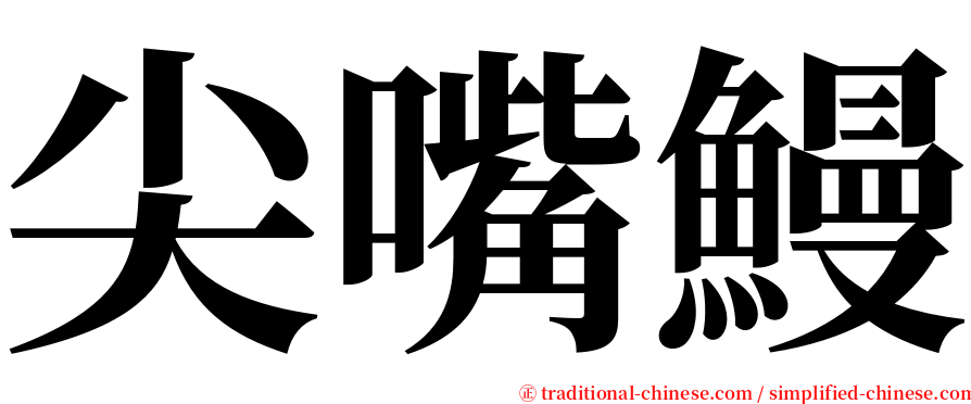 尖嘴鰻 serif font