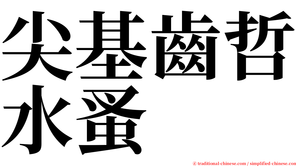 尖基齒哲水蚤 serif font