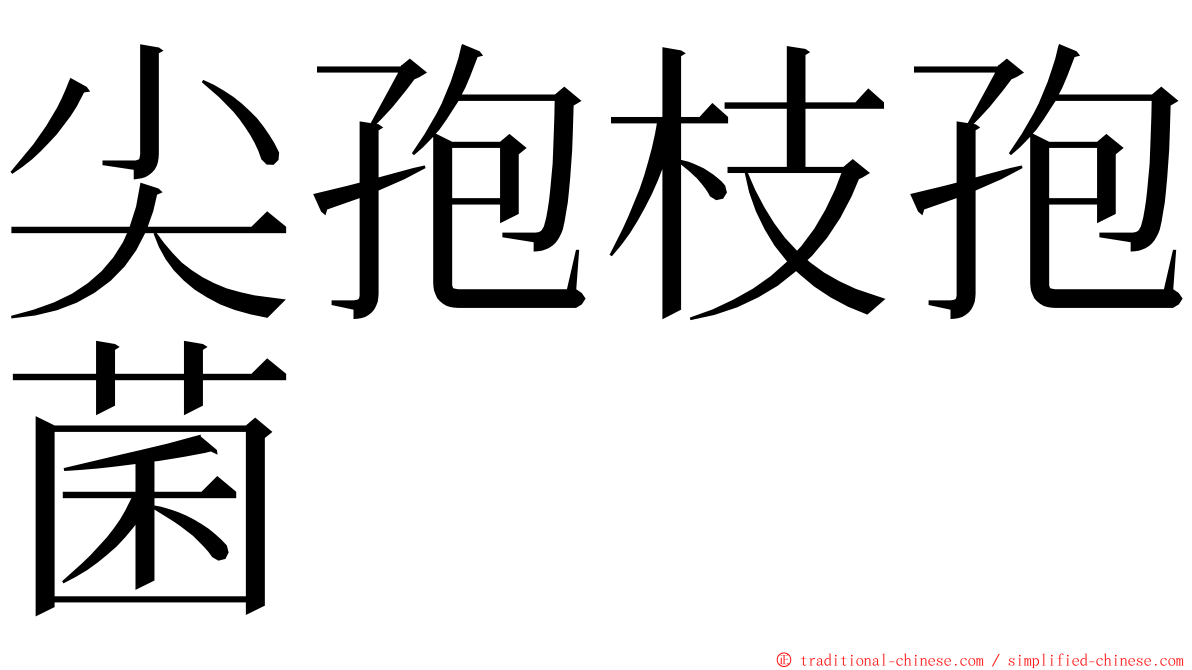 尖孢枝孢菌 ming font