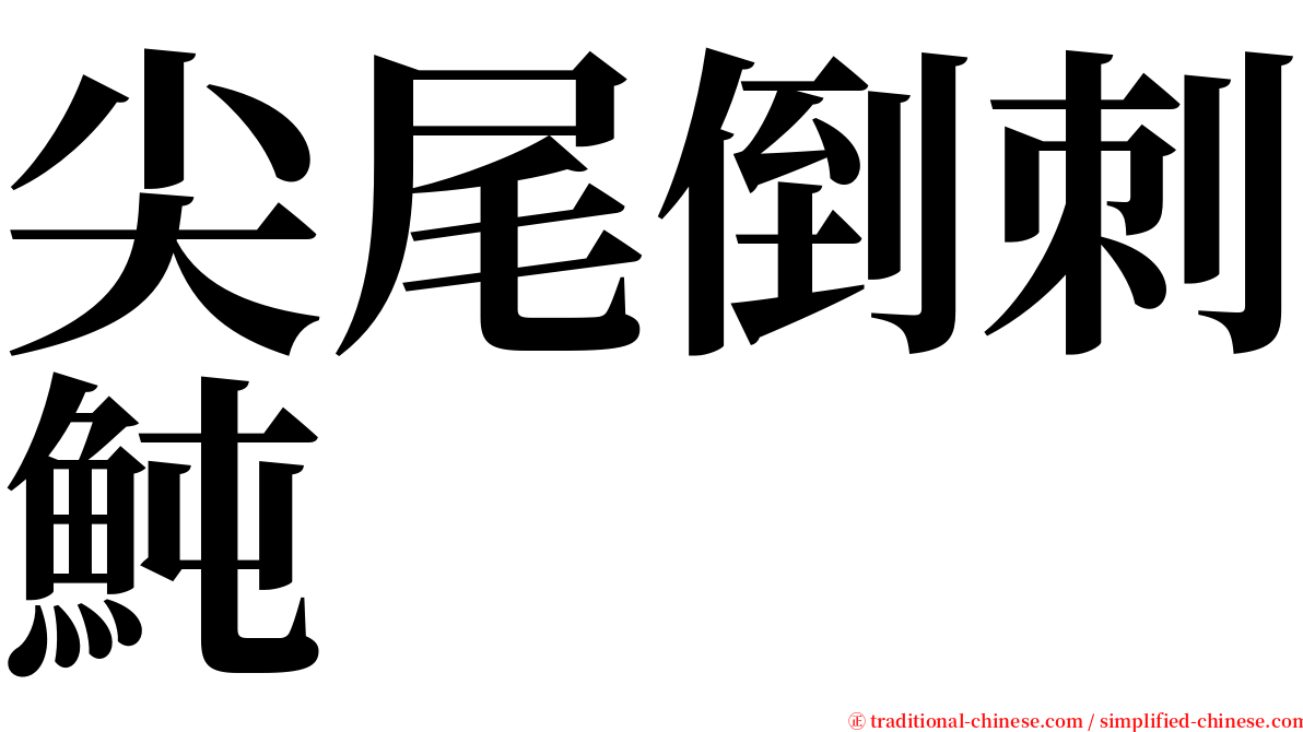 尖尾倒刺魨 serif font