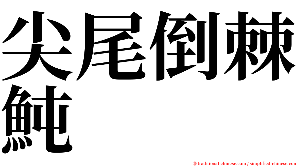 尖尾倒棘魨 serif font