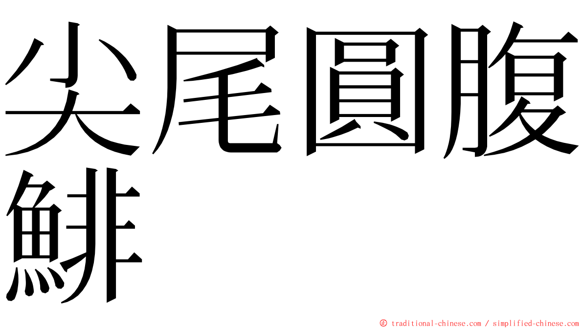 尖尾圓腹鯡 ming font