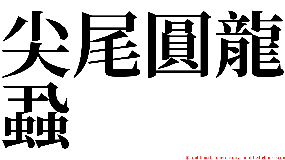 尖尾圓龍蝨 serif font