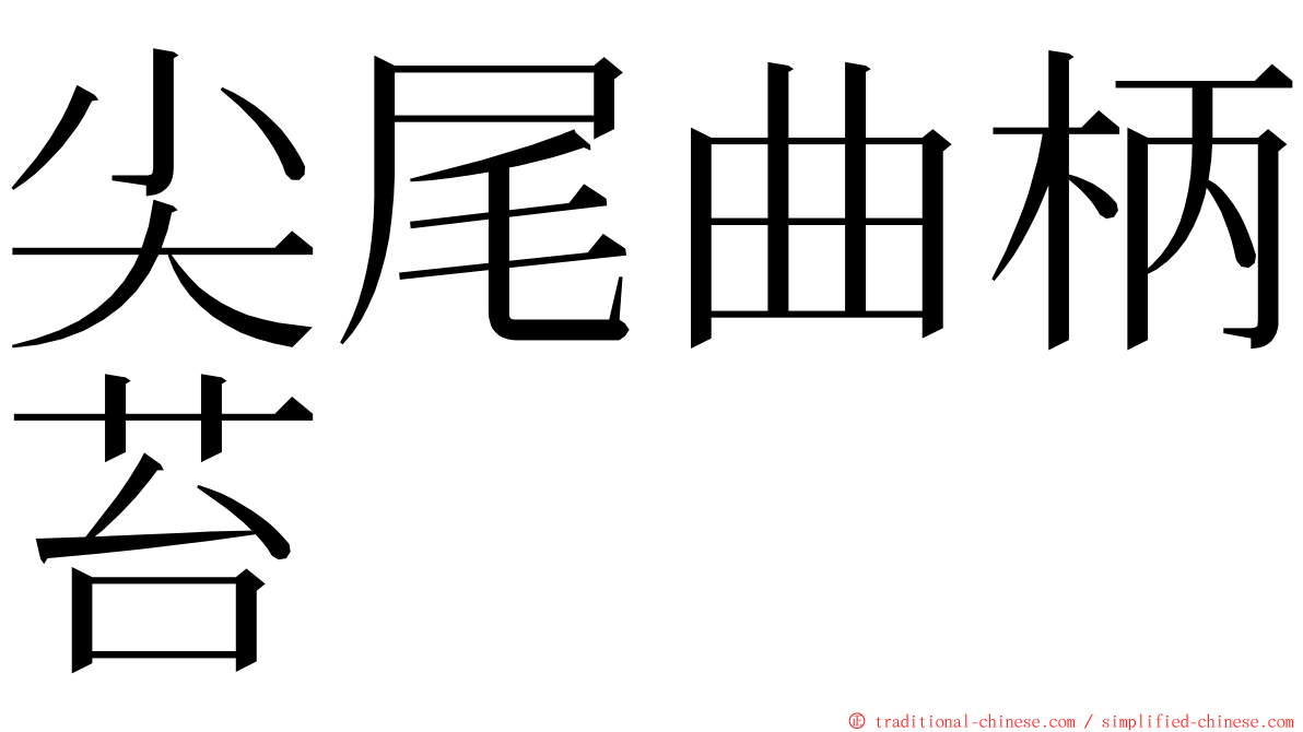 尖尾曲柄苔 ming font