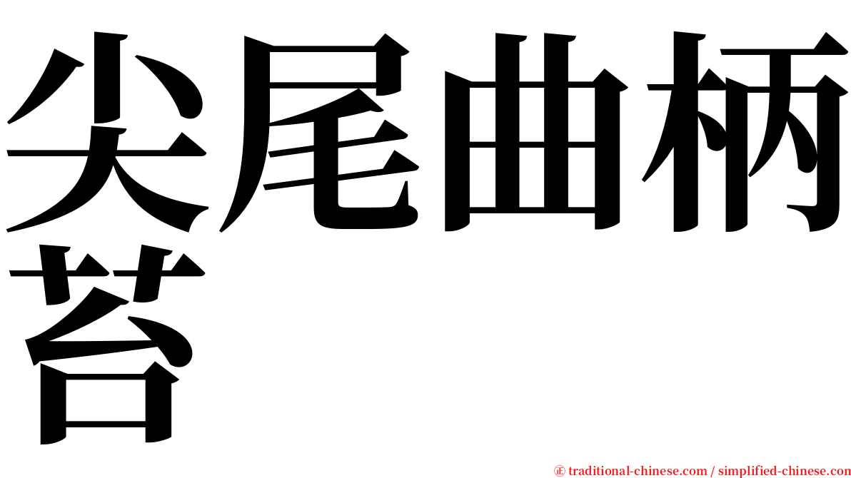 尖尾曲柄苔 serif font