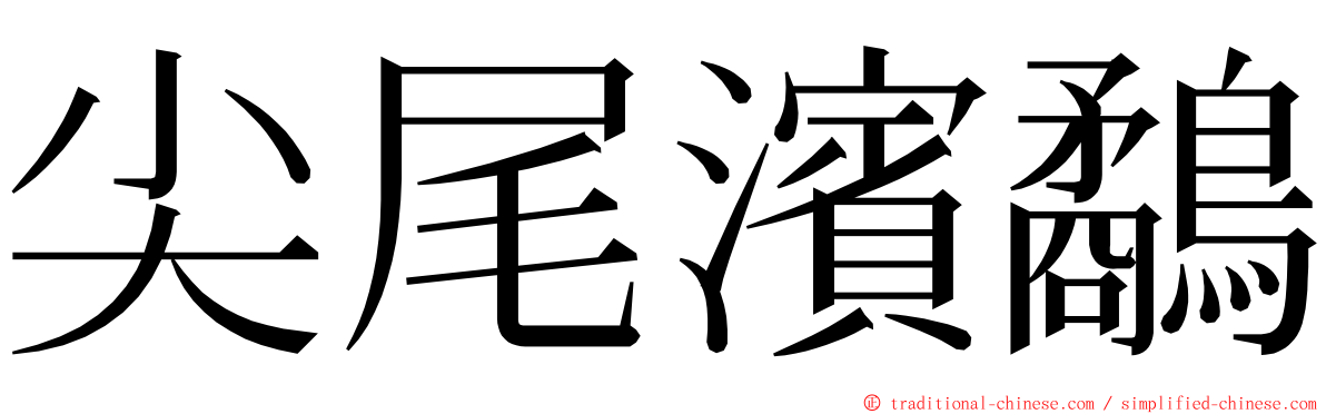 尖尾濱鷸 ming font