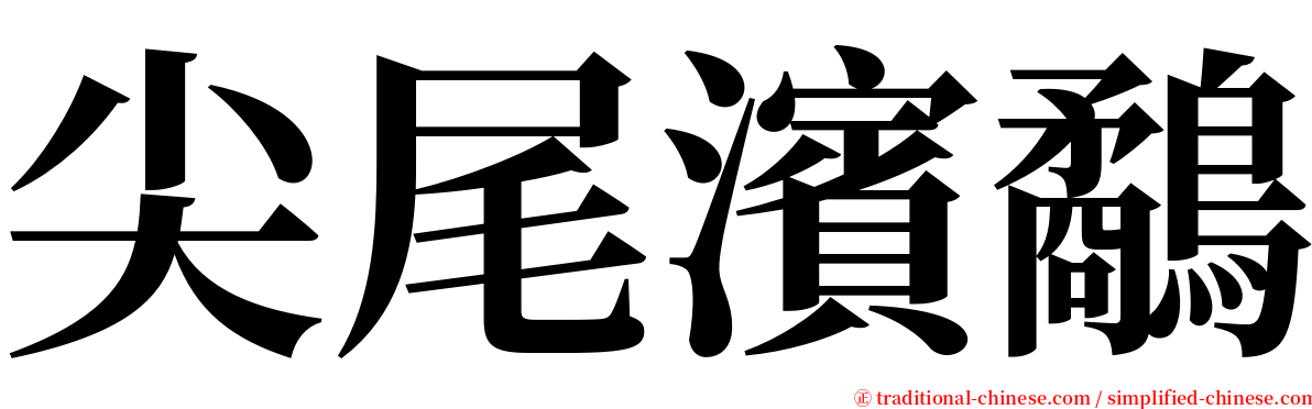 尖尾濱鷸 serif font