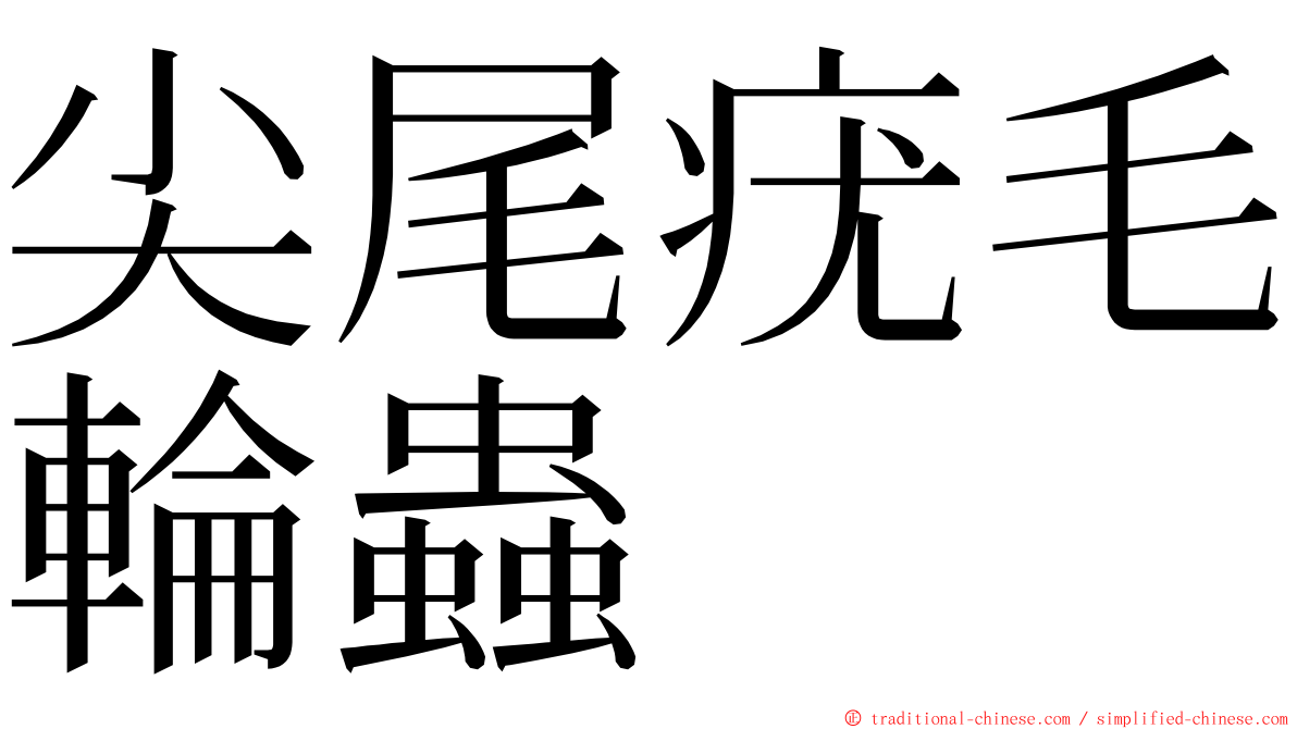 尖尾疣毛輪蟲 ming font