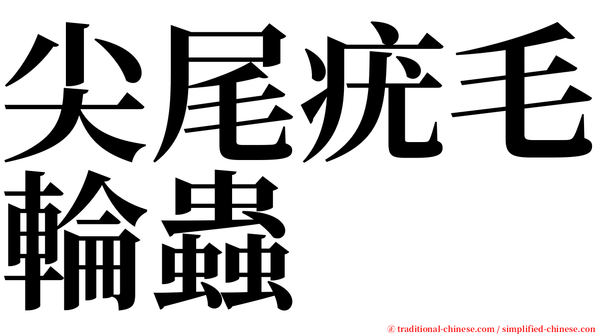 尖尾疣毛輪蟲 serif font