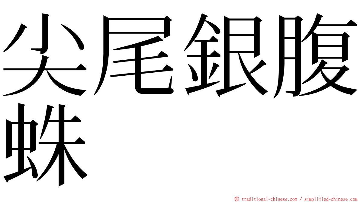 尖尾銀腹蛛 ming font