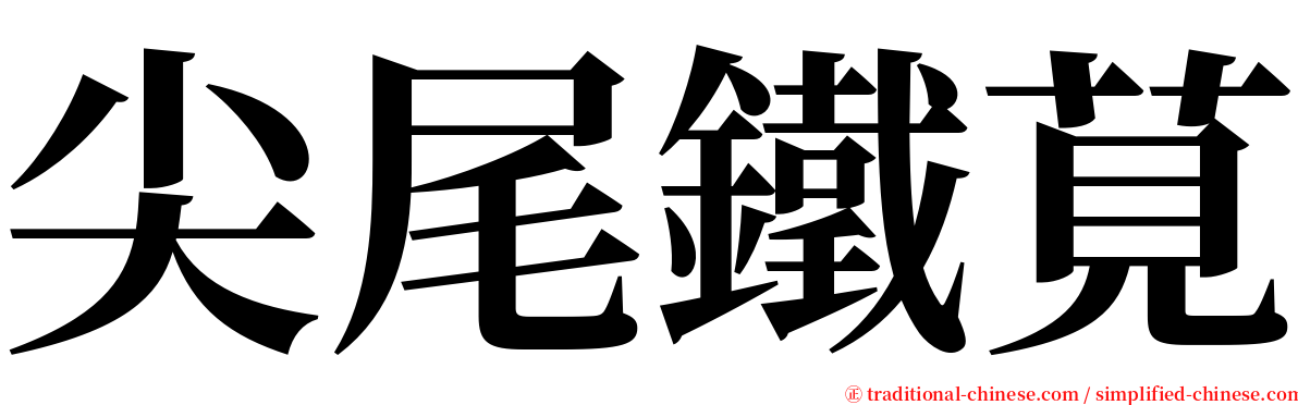 尖尾鐵莧 serif font