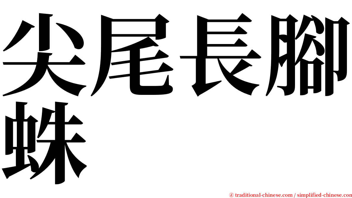 尖尾長腳蛛 serif font