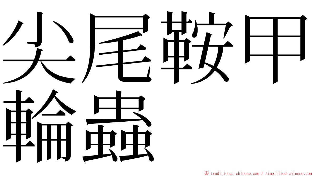 尖尾鞍甲輪蟲 ming font