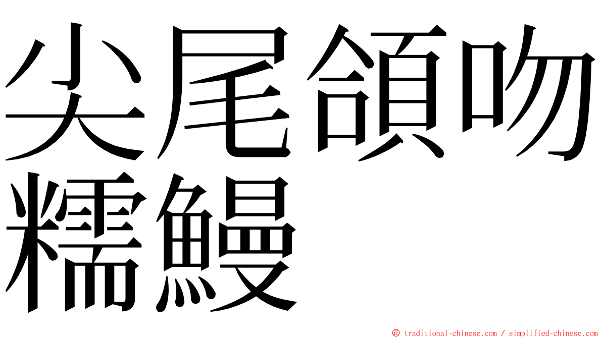 尖尾頜吻糯鰻 ming font