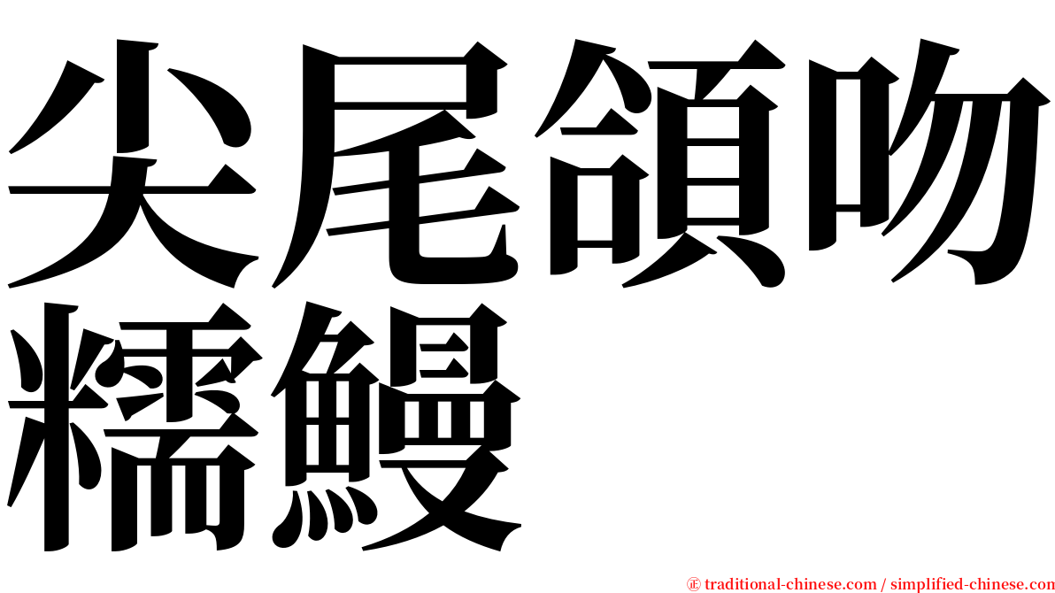 尖尾頜吻糯鰻 serif font