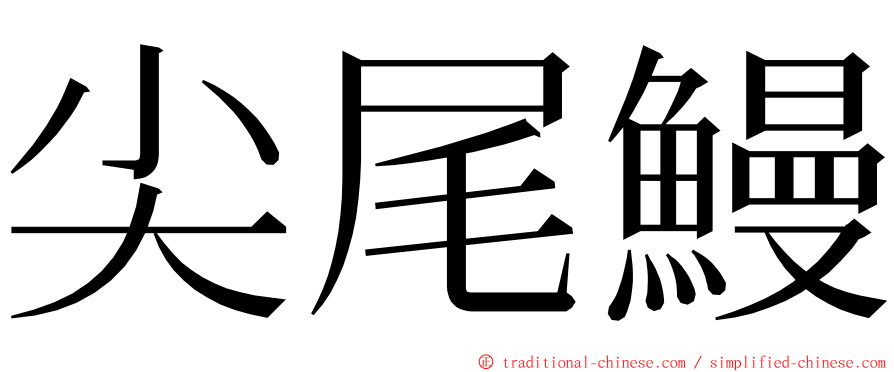 尖尾鰻 ming font