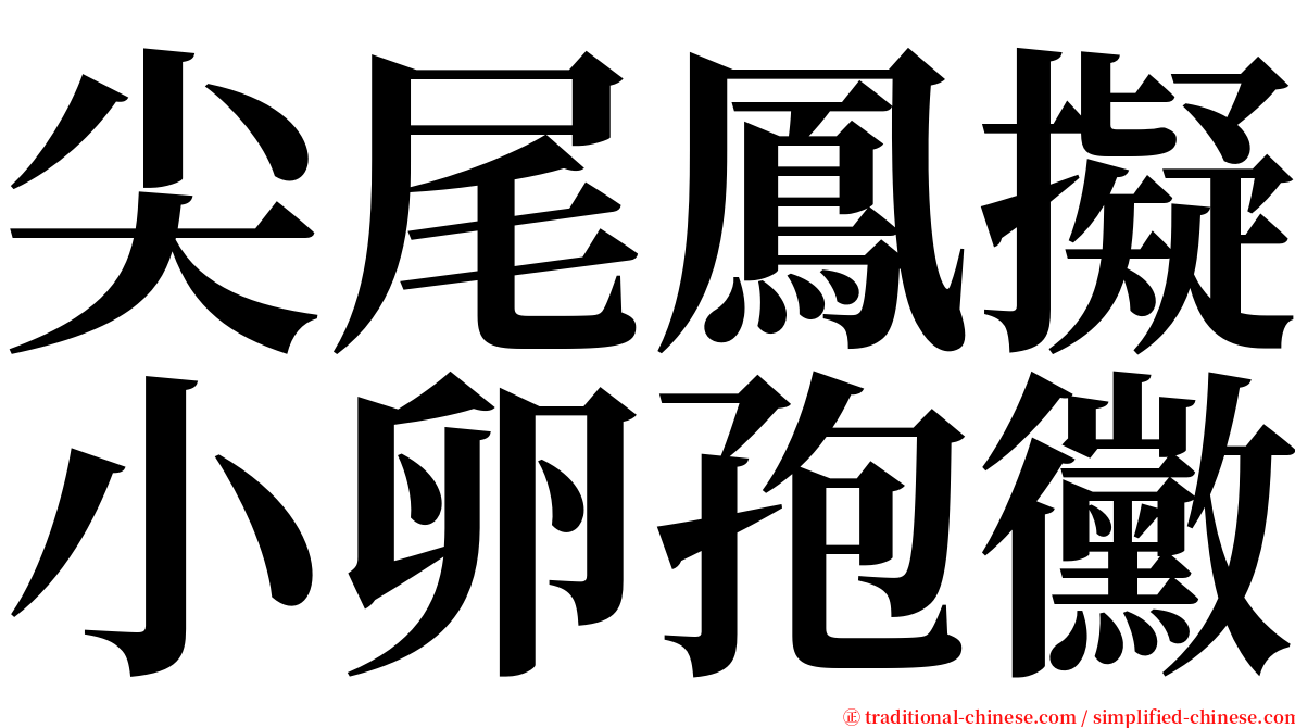 尖尾鳳擬小卵孢黴 serif font