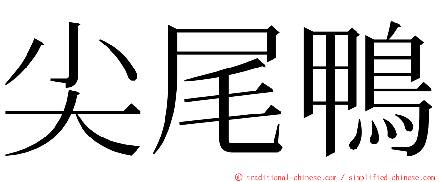 尖尾鴨 ming font