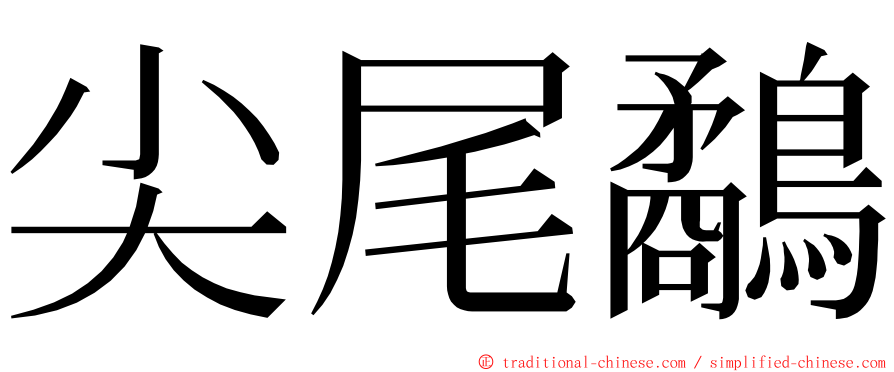 尖尾鷸 ming font