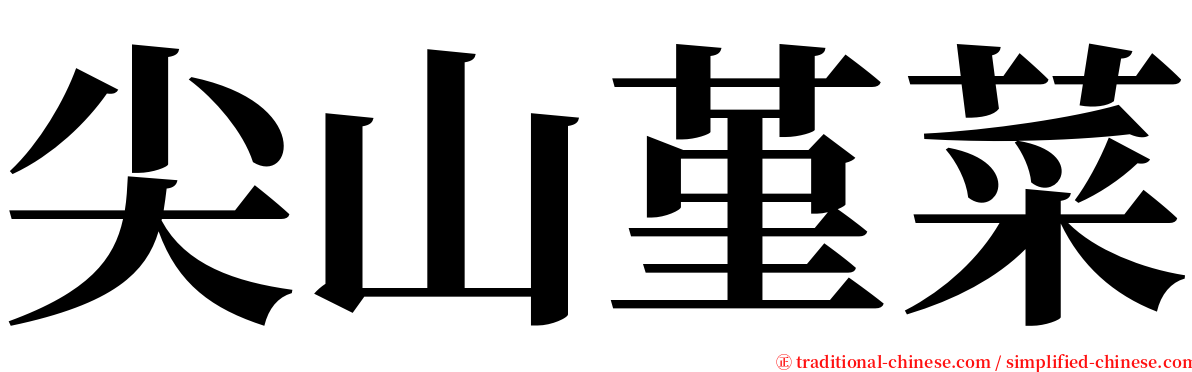 尖山堇菜 serif font