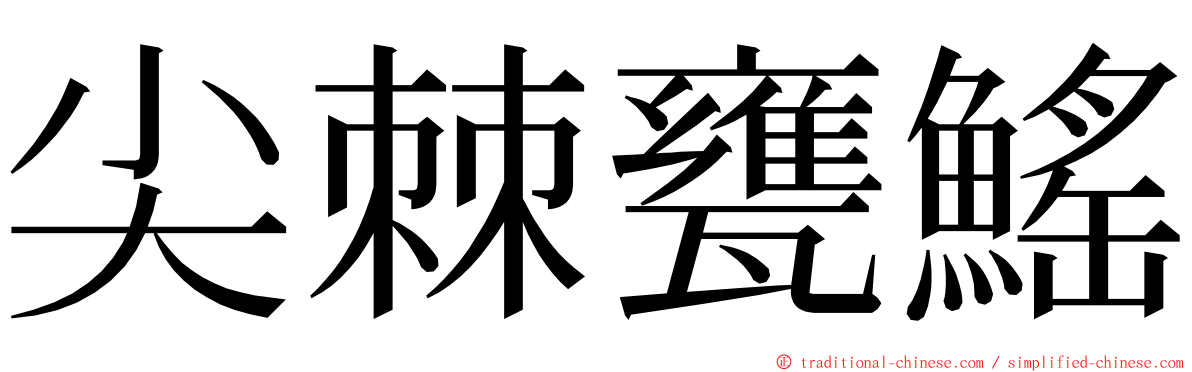 尖棘甕鰩 ming font