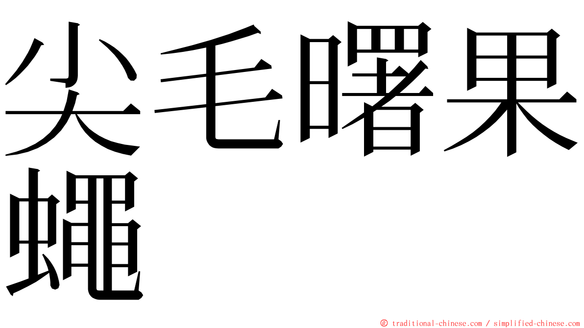 尖毛曙果蠅 ming font