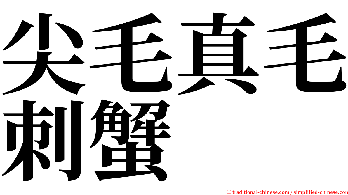 尖毛真毛刺蟹 serif font