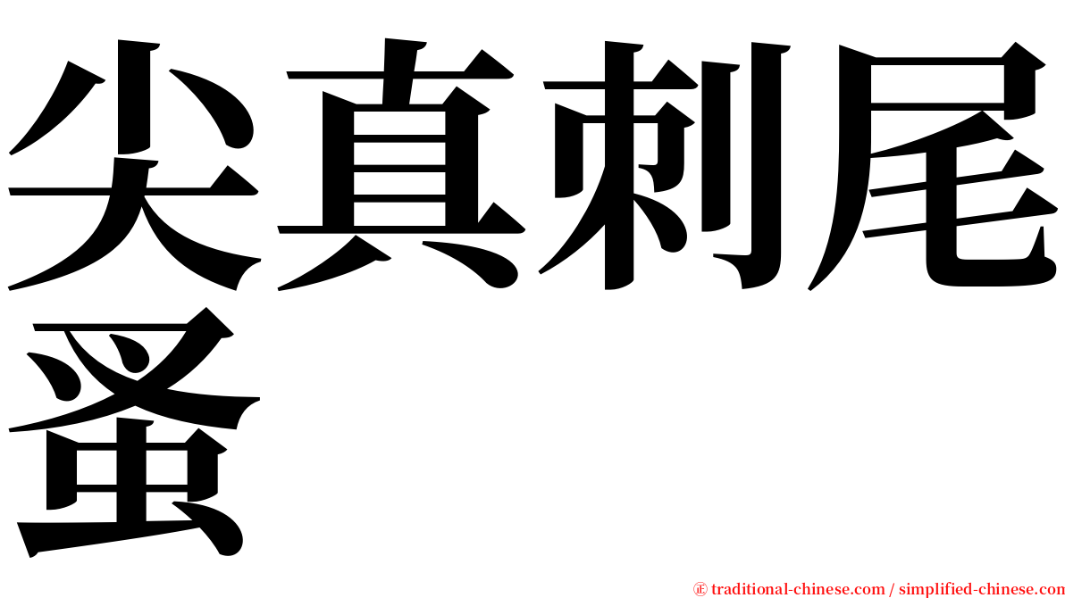 尖真刺尾蚤 serif font