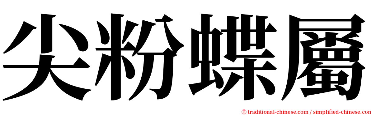 尖粉蝶屬 serif font