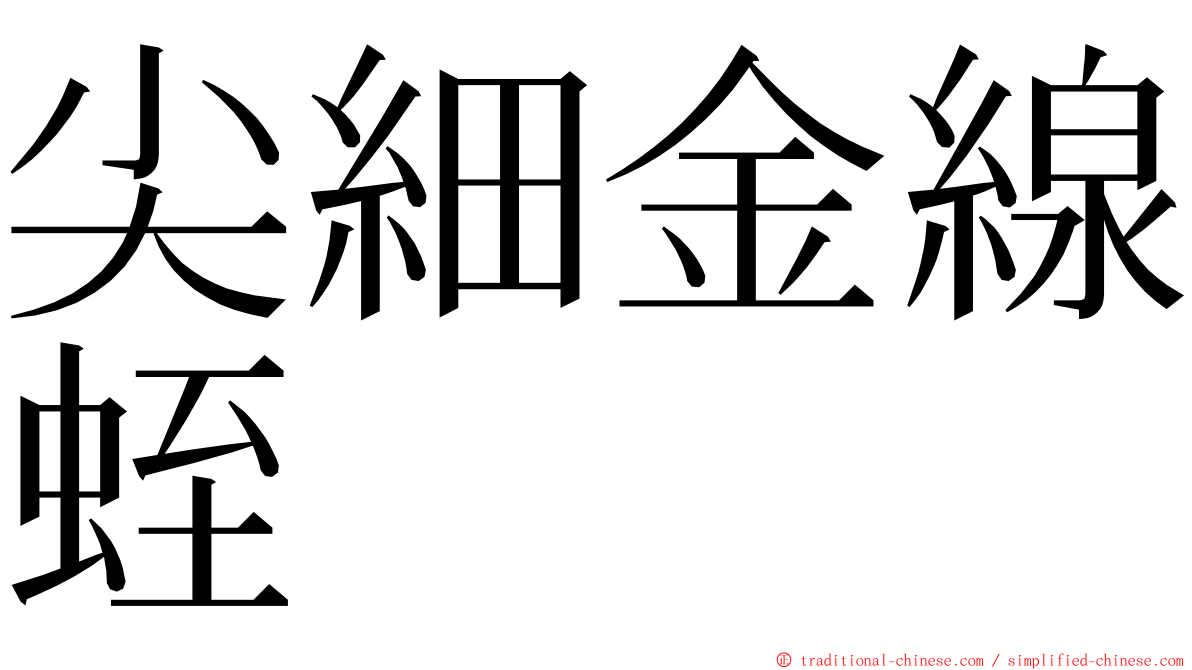 尖細金線蛭 ming font