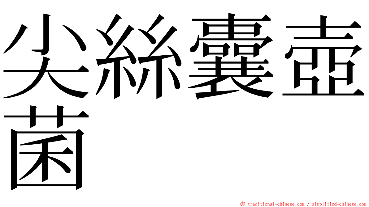 尖絲囊壺菌 ming font
